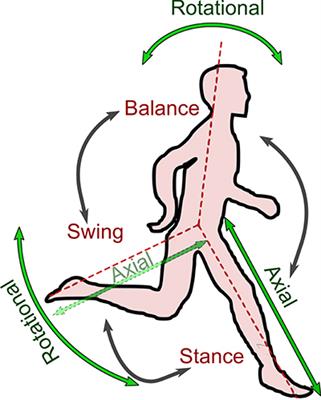 Locomotor Sub-functions for Control of Assistive Wearable Robots